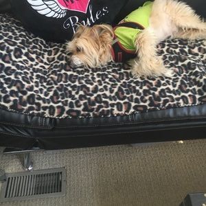 Meet your Posher, Eva